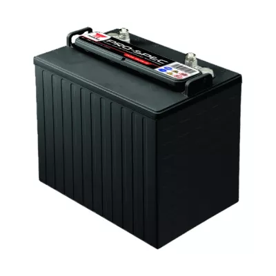 Batterie REC10-12 - YUASA 12V - 10Ah - Cyclage