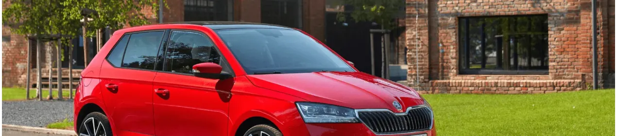 Batterie voiture Skoda Fabia pas cher