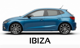 batterie seat ibiza