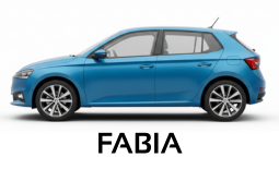 batterie skoda fabia